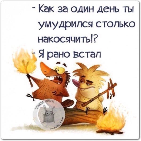 Приколы про друзей в картинках