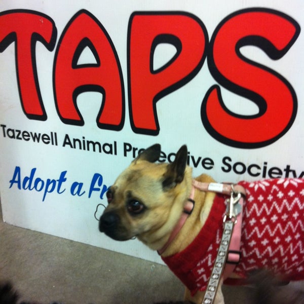 Taps Animal Shelter Pekin Il TAPS to unveil new facilities at open house on Saturday A