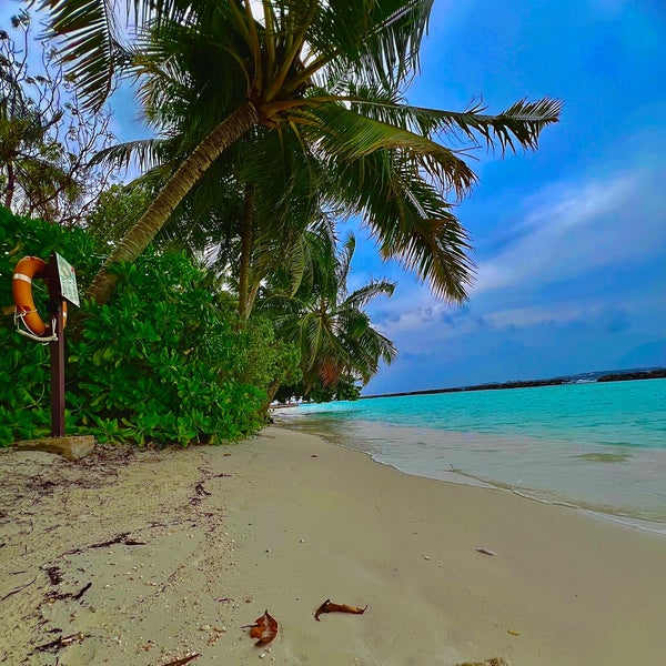 Das Foto wurde bei Kurumba von • am 2/29/2024 aufgenommen