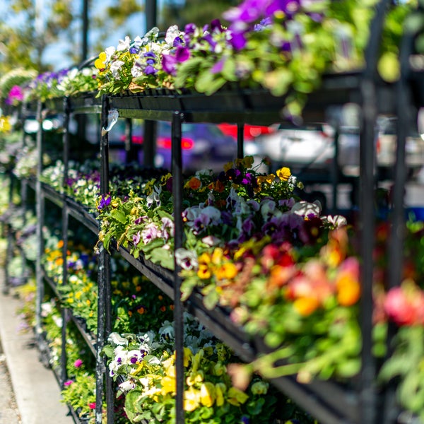 Photos at Ace Los Gatos Hardware East Los Gatos 8 tips