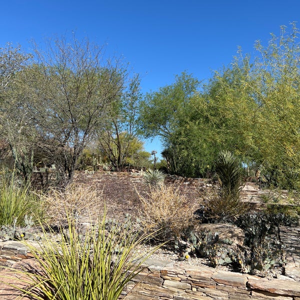 Photo taken at Desert Botanical Garden by Raymond C. on 4/10/2023