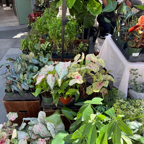 Grove Street Farmers' Market Harsimus Grove Street PATH Plaza