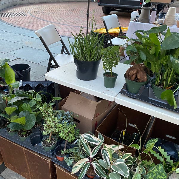 Photos at Grove Street Farmers' Market Harsimus Grove Street PATH Plaza