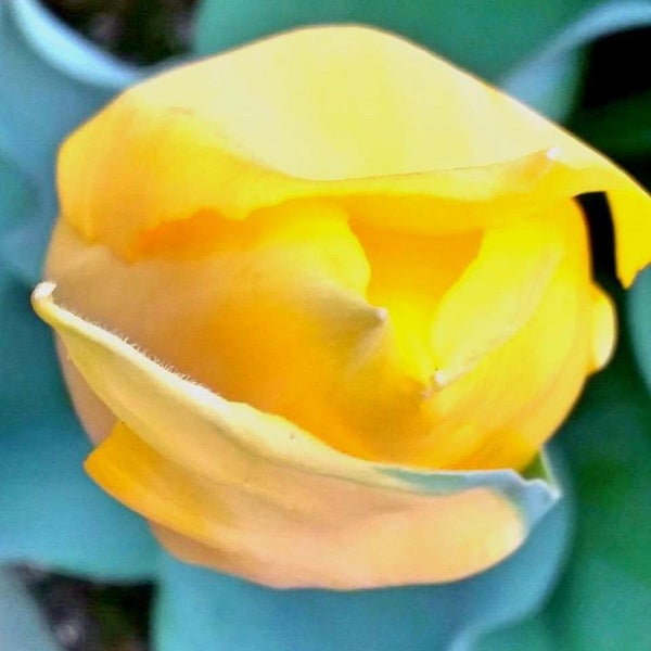 相模大野パスポートセンター 相模大野駅連絡所 相模原市 Da Devlet Binasi