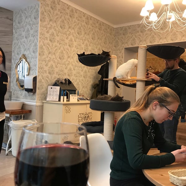 รูปภาพถ่ายที่ Cat Cafe / Kačių Kavinė โดย Muzungu เมื่อ 11/24/2018