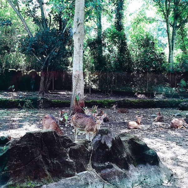 7/11/2017에 mrs_Felis님이 Taman Safari Indonesia III에서 찍은 사진