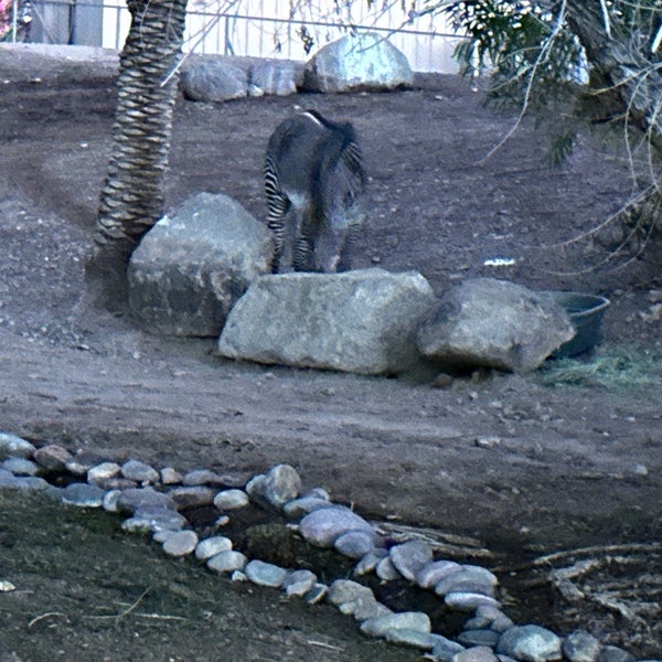 Photo taken at Phoenix Zoo by Andrew S. on 1/15/2024