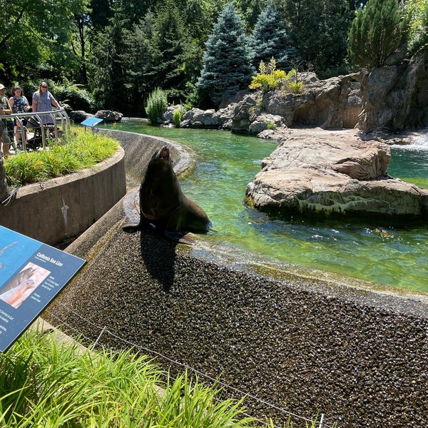 6/24/2021にAnnie K.がQueens Zooで撮った写真
