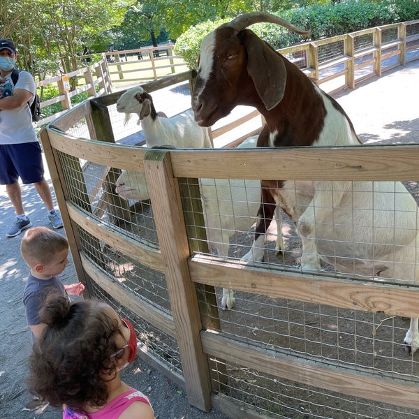 Foto tirada no(a) Queens Zoo por Annie K. em 6/24/2021