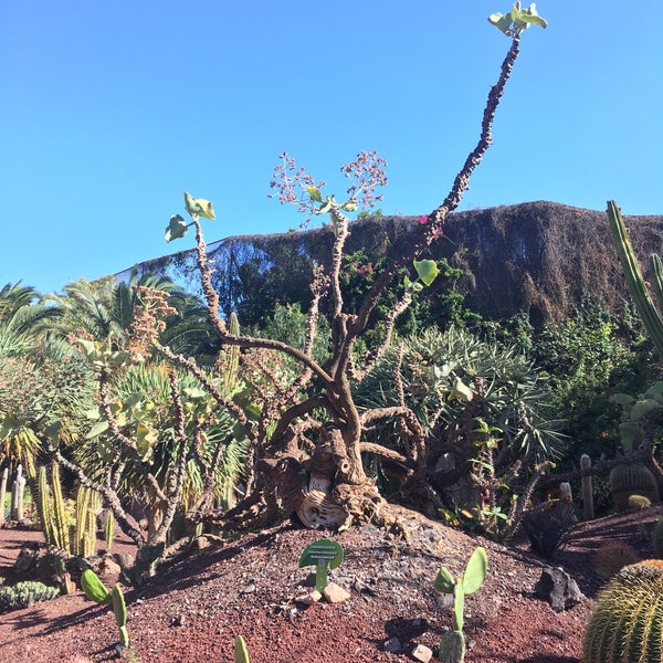 Foto scattata a Oasis Park Fuerteventura da Lee T. il 4/13/2019