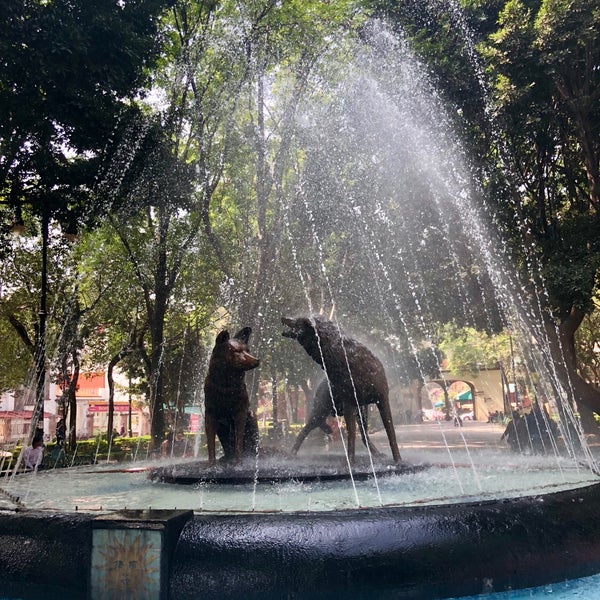 Foto diambil di Jardín Centenario oleh Margaret A. pada 2/15/2018
