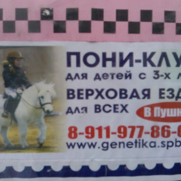 Магазин Репка Великие Луки Каталог Товаров