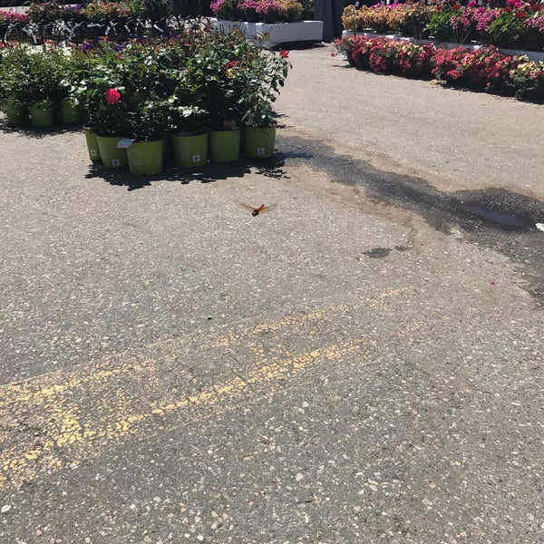 Photos at The Home Depot Willowbrook 6550 200th Street