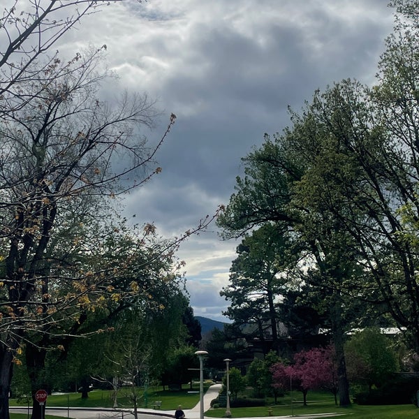 Mugs Coffee Lounge University North 306 W Laurel St