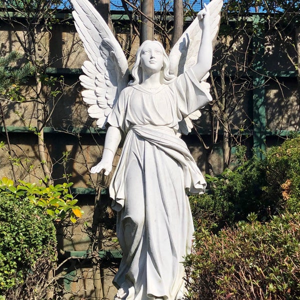 Photos At 星美学園短期大学 北区 東京都