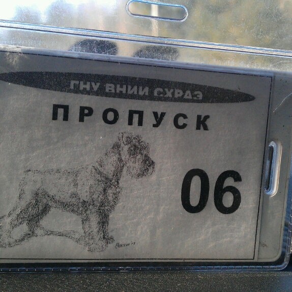 активный отдых с дедом морозом в эко отеле. велес обнинск телефон. комарова 6 обнинск. ветклиника велес королев. обнинск ветклиника велес вет.