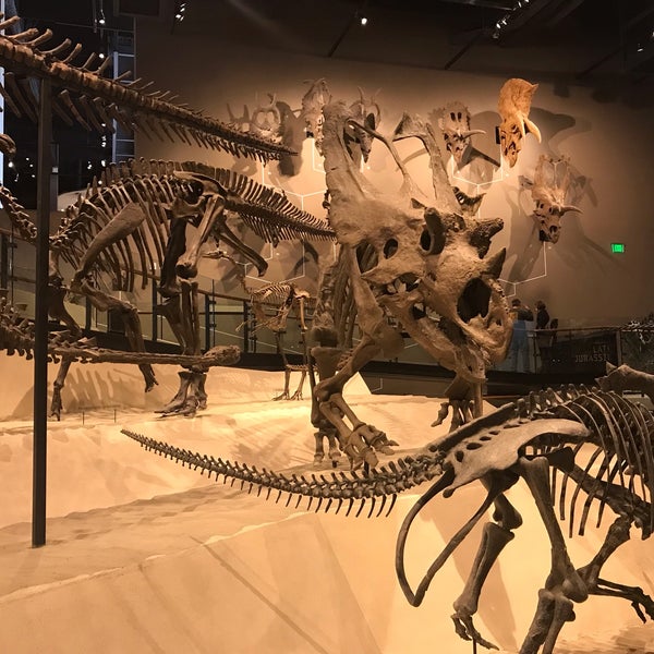 Foto scattata a Natural History Museum of Utah da Francisco B. il 3/12/2019