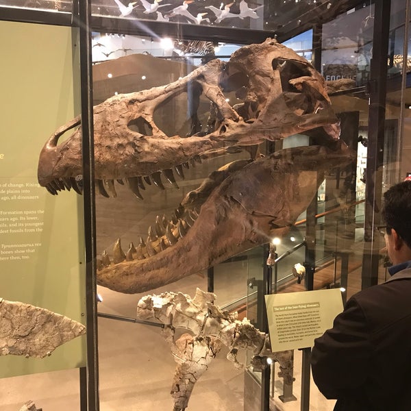 3/12/2019에 Francisco B.님이 Natural History Museum of Utah에서 찍은 사진