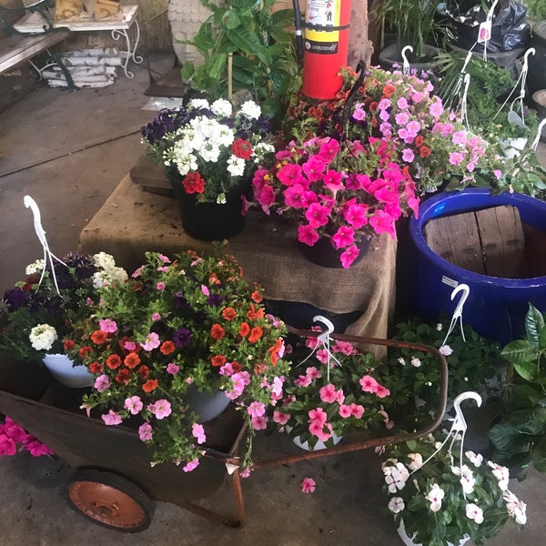 Photo taken at Urban Garden Center by Jeremy F. on 5/27/2019