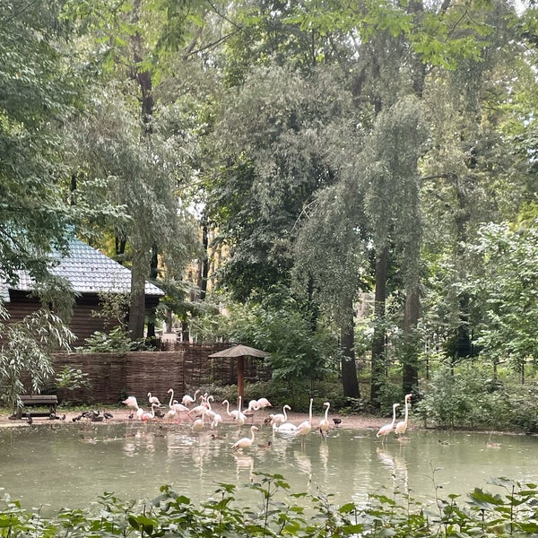 Foto scattata a Київський зоопарк da A il 9/2/2021