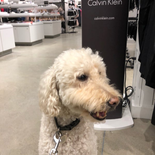 Many stores are dog friendly!