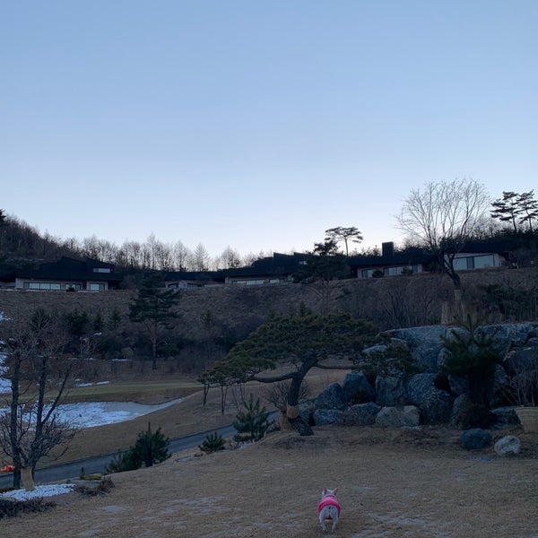 알펜시아 트룬 에스테이트 (Alpensia Troon Estate) 리조트