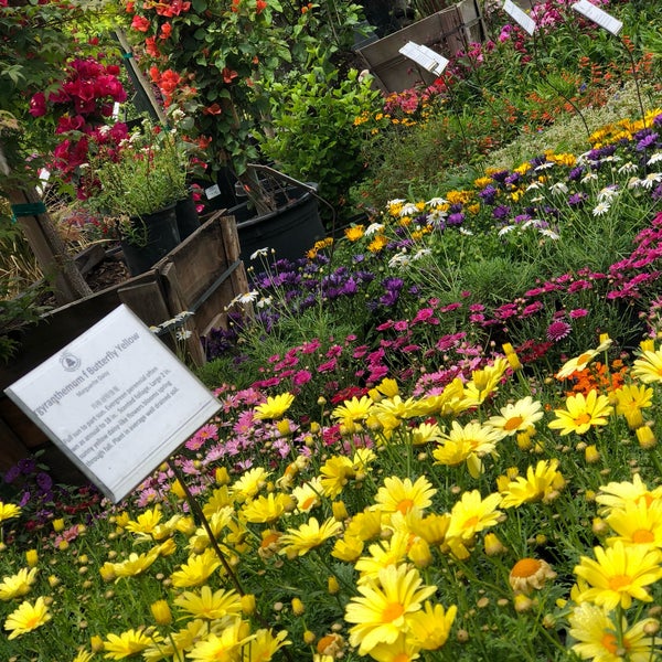 Photos at San Gabriel Nursery & Florist Garden Center