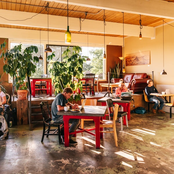 International coffee traders deals