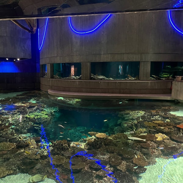 Foto diambil di National Aquarium oleh Melissa T. pada 2/2/2024