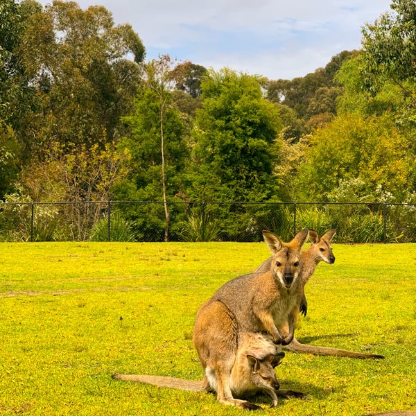 Photos at Symbio Wildlife Park Zoo