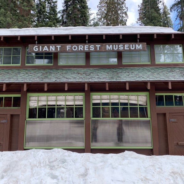 Forest museum. Forest museum