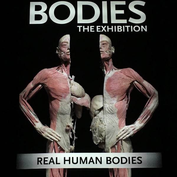 Photo taken at BODIES...The Exhibition by Danis L. on 1/4/2016