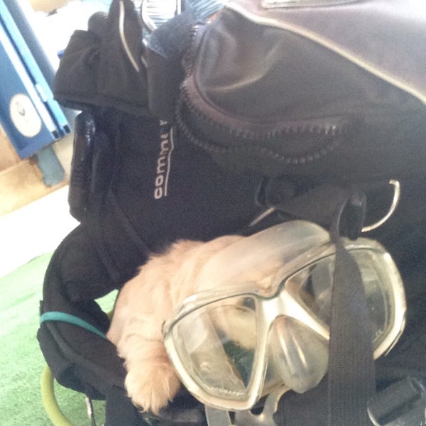 Kalkan Diving