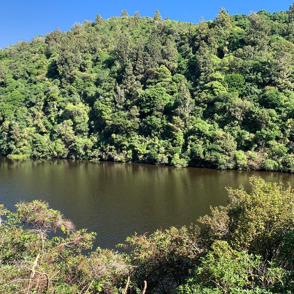 Photo taken at Zealandia Eco-Sanctuary by Manish M. on 3/20/2019