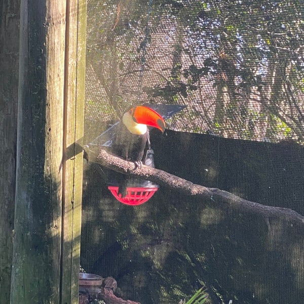 Снимок сделан в Audubon Zoo пользователем Ian S. 12/30/2019