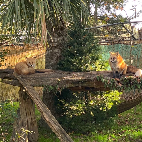 Photo taken at Audubon Zoo by Ian S. on 12/30/2019