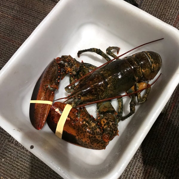 1/28/2017にSyed Ali S.がFishman Lobster Clubhouse Restaurant 魚樂軒で撮った写真