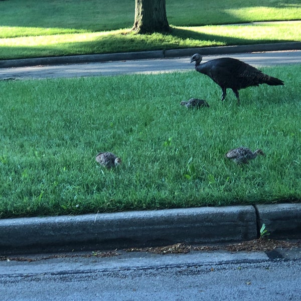 Photos at Washington Highlands Wauwatosa, WI