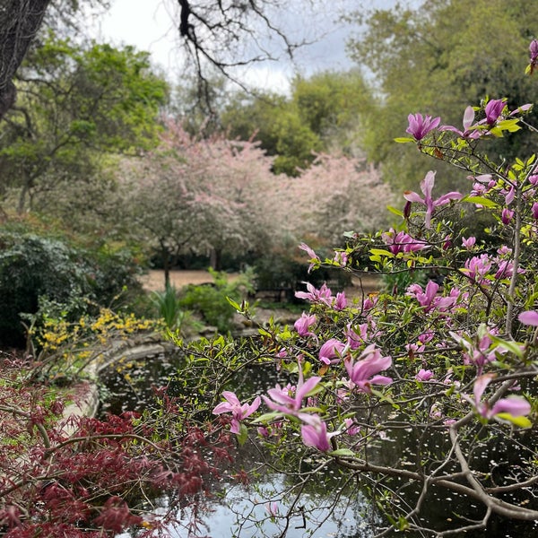 4/12/2024 tarihinde Kateryna Z.ziyaretçi tarafından Descanso Gardens'de çekilen fotoğraf