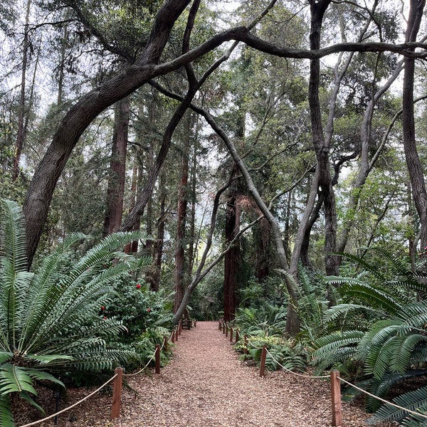 4/12/2024 tarihinde Kateryna Z.ziyaretçi tarafından Descanso Gardens'de çekilen fotoğraf