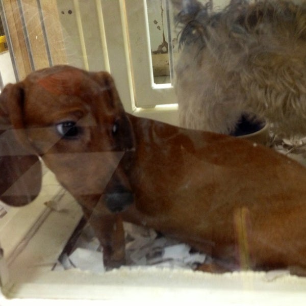 Har Mar Pet Shop Pet Supplies Store in Roseville