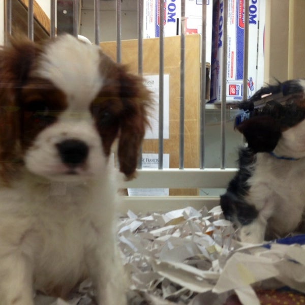 Har Mar Pet Shop Pet Supplies Store in Roseville