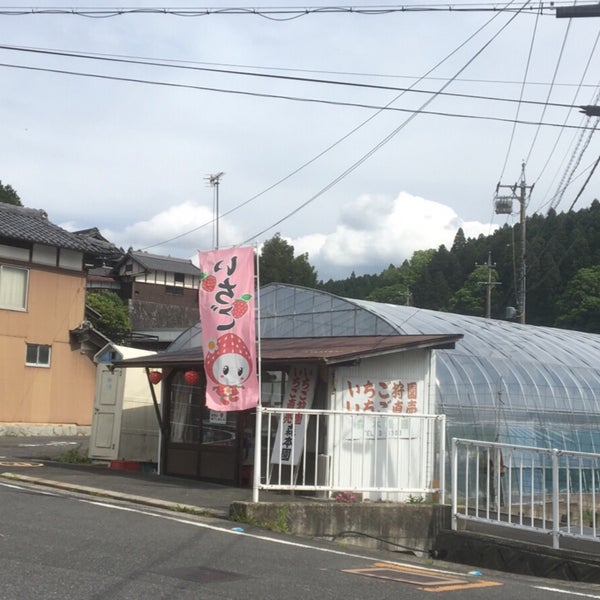 Photos At 青連寺 いちご狩り 名張市 三重県