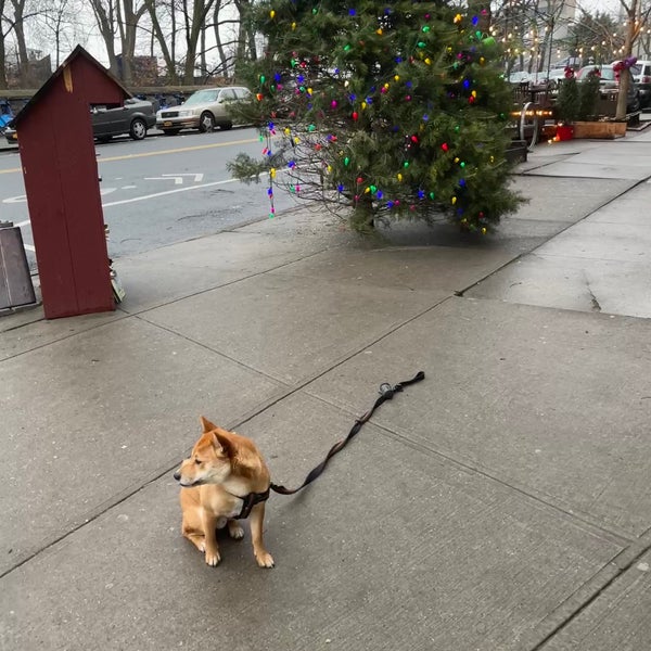 12/30/2021 tarihinde Tian T.ziyaretçi tarafından Inwood Farm'de çekilen fotoğraf