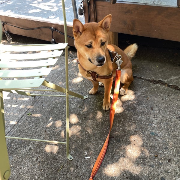 รูปภาพถ่ายที่ Inwood Farm โดย Tian T. เมื่อ 6/5/2021