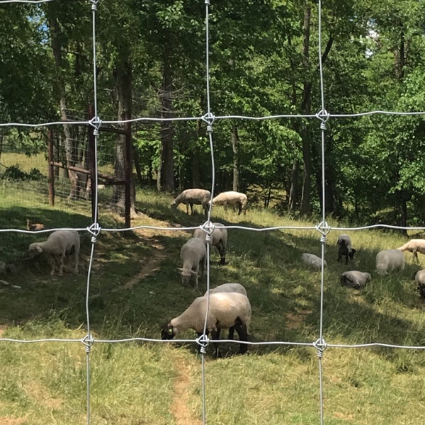 Farm at Walnut Creek Zoo