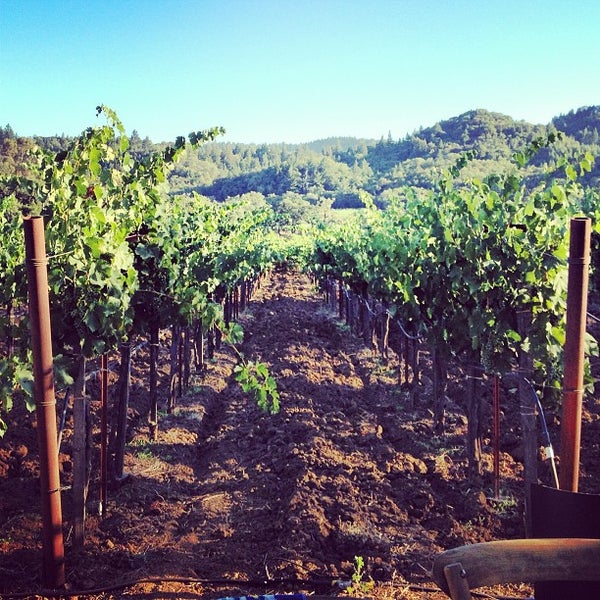 7/14/2013 tarihinde Kane C.ziyaretçi tarafından Quivira Vineyards and Winery'de çekilen fotoğraf