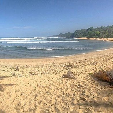 Photos At Pantai Ngliyep Beach In Malang