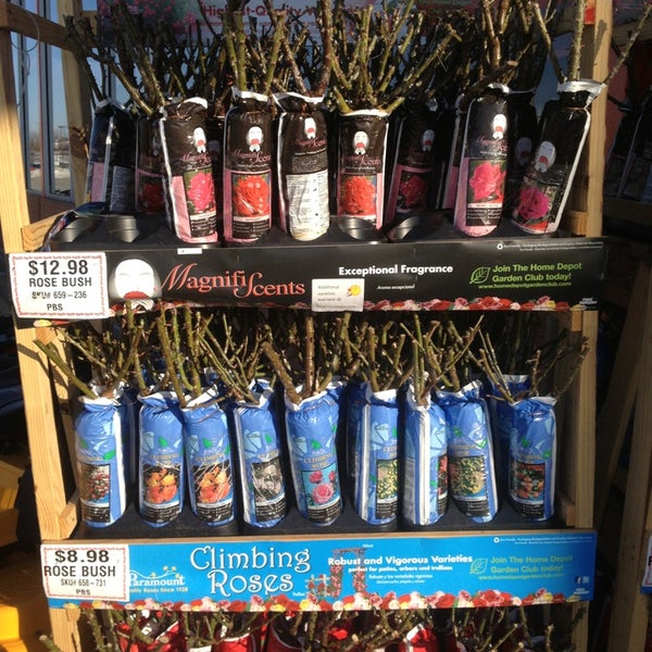 The Home Depot Hırdavat Mağazası'da fotoğraflar