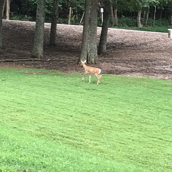 Tanglewood Park Campground Clemmons, NC